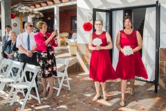 03-Wedding-2019-Kim-and-Alan-ceremony-ONLINE-3050